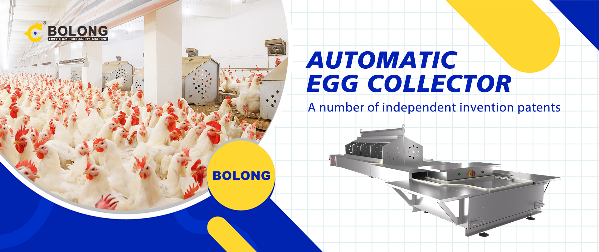 automatic egg collect machine for sale