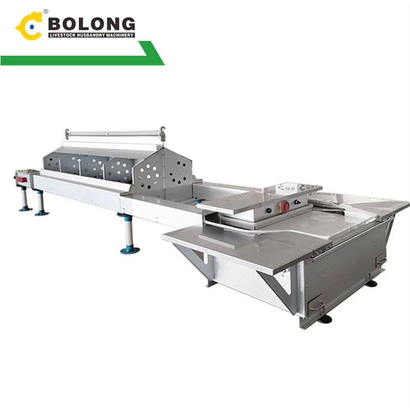 Bolong egg collector-Make chicken farming more efficient