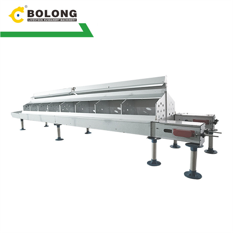 Bolong Automatic Egg Collector: Simplifying Egg Collection for Farmers