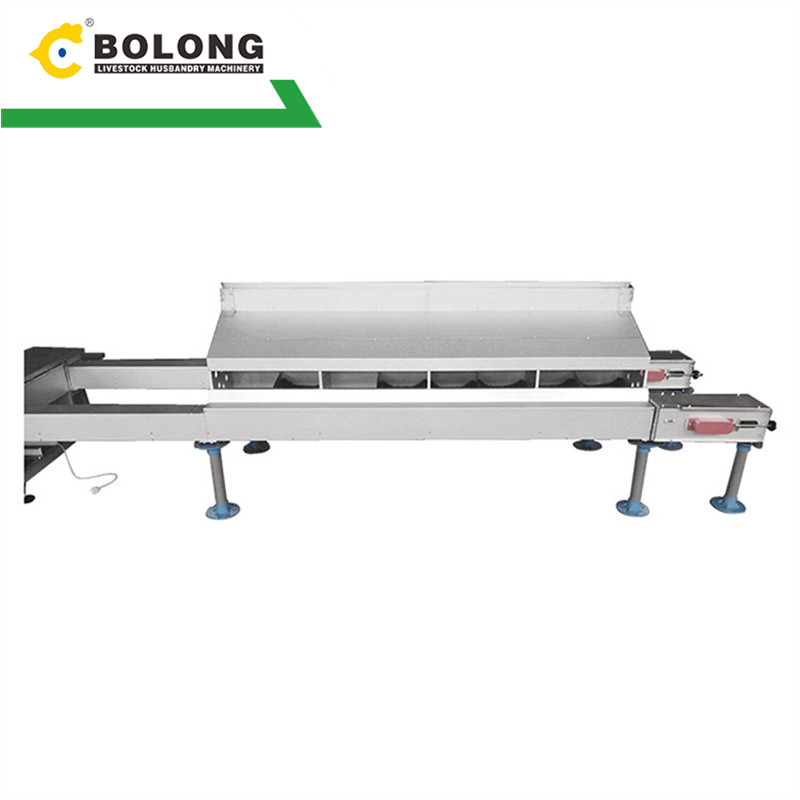 Bolong Automatic Egg Collector: Promoting Animal Welfare on the Farm