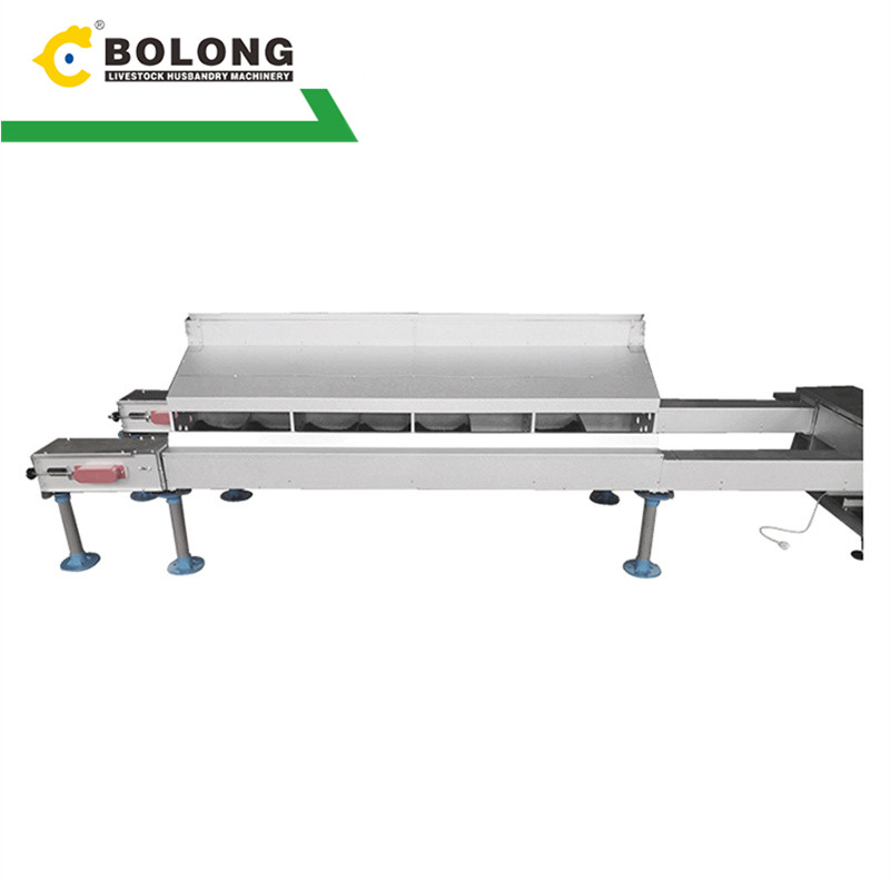 Bolong Automatic Egg Collector: Optimizing Egg Production for Sustainable Farming