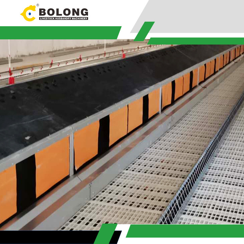 Bolong Automatic Egg Collector: A Sustainable Solution for Egg Production