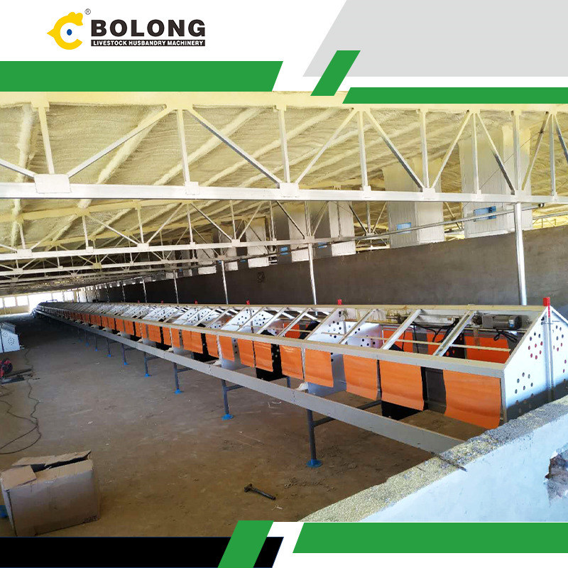 The Benefits of Using the Bolong Automatic Egg Collector for Small-Scale Farms